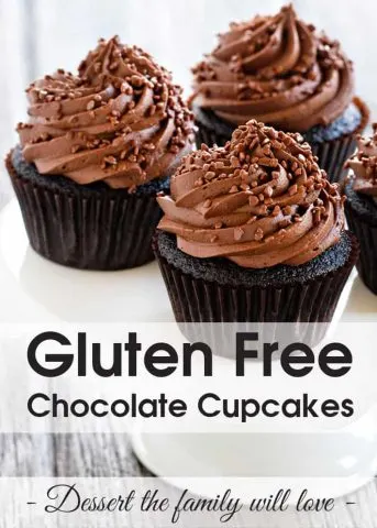 Gluten Free Chocolate Cupcakes.