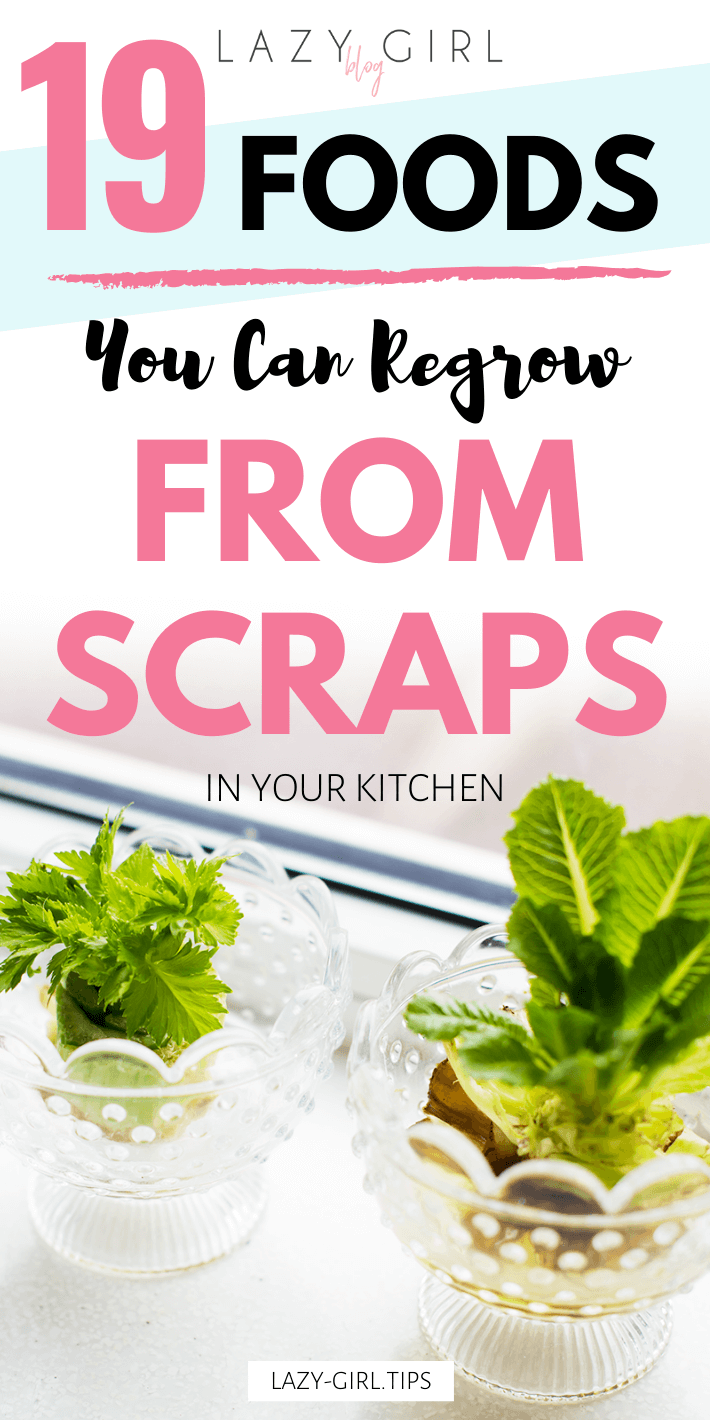 19 Foods You Can Regrow from Scraps.